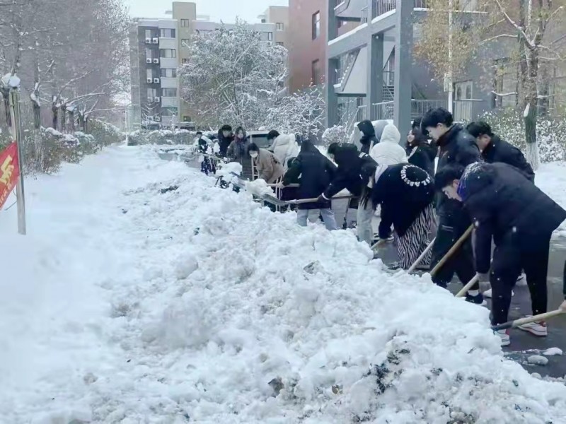 4、建筑与规划学院开展“不畏严寒除积雪，扫雪开路暖人心”活动 (2)