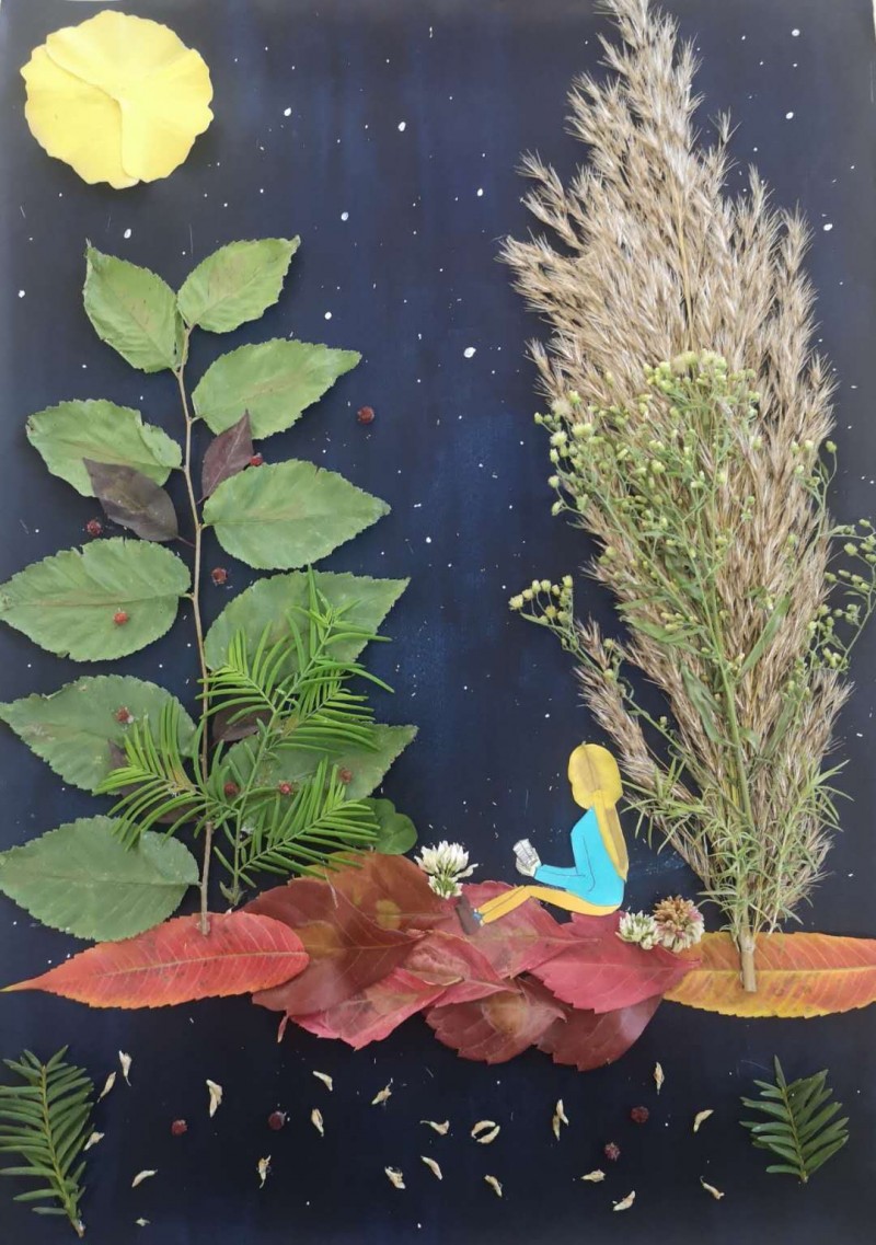 建筑与规划学院开展“落木非萧肃，叶落暗香来”树叶画主题活动1